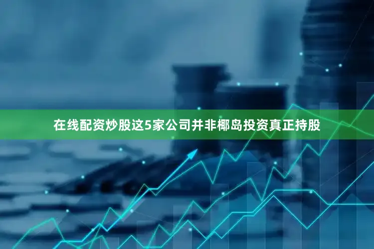 在线配资炒股这5家公司并非椰岛投资真正持股