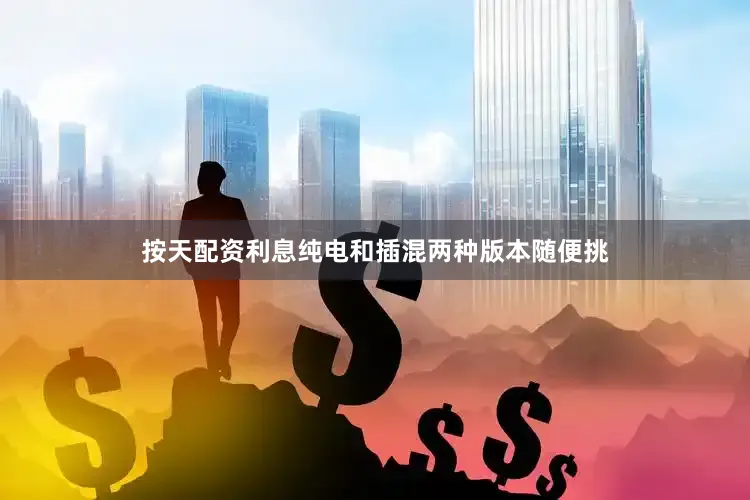 按天配资利息纯电和插混两种版本随便挑